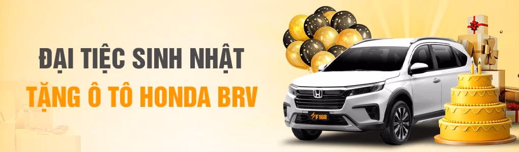 Hướng Dẫn Người Mới DT999
